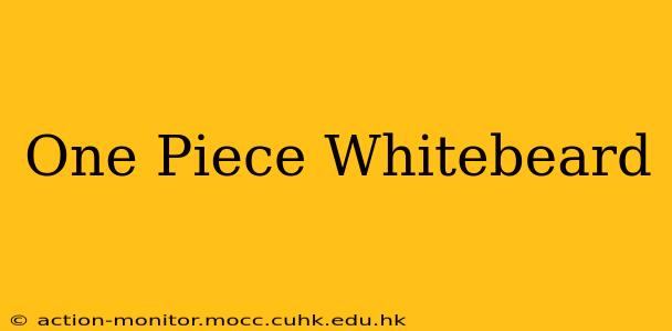 One Piece Whitebeard