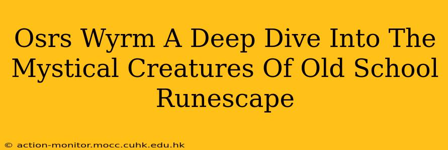 Osrs Wyrm A Deep Dive Into The Mystical Creatures Of Old School Runescape