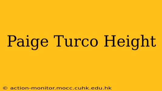 Paige Turco Height