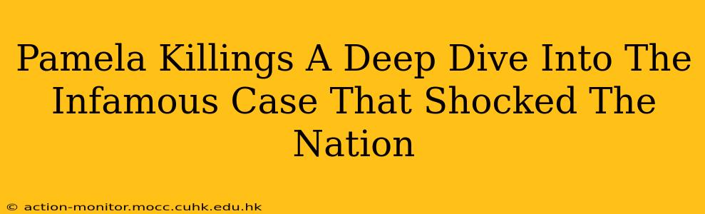 Pamela Killings A Deep Dive Into The Infamous Case That Shocked The Nation