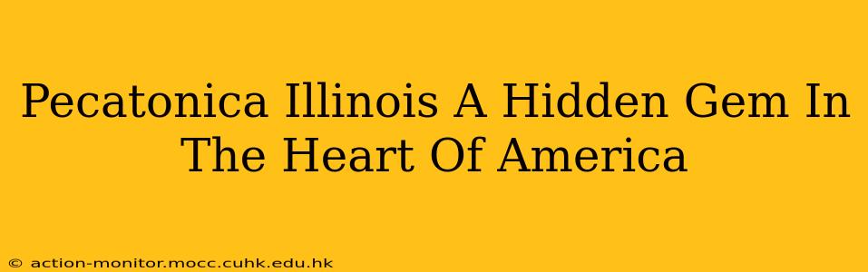 Pecatonica Illinois A Hidden Gem In The Heart Of America