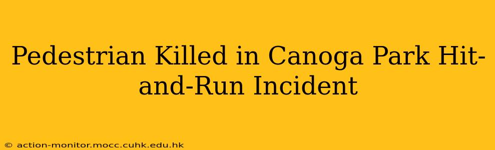 Pedestrian Killed in Canoga Park Hit-and-Run Incident