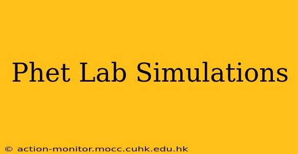 Phet Lab Simulations