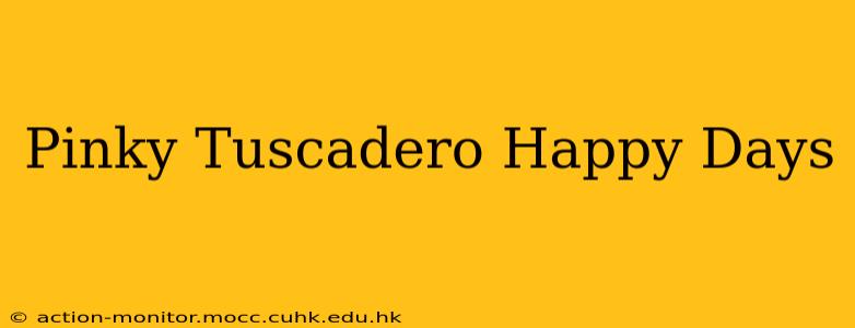 Pinky Tuscadero Happy Days