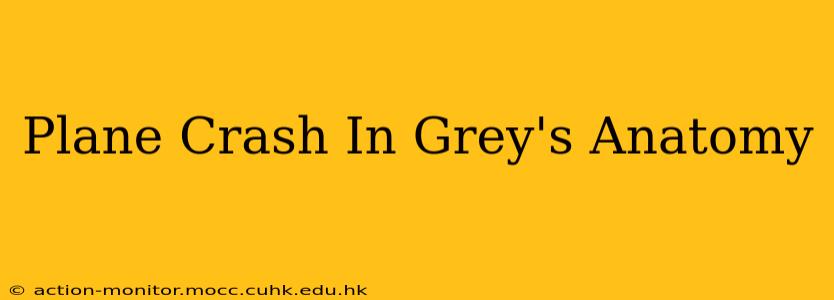 Plane Crash In Grey's Anatomy