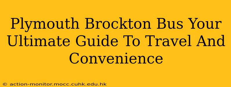 Plymouth Brockton Bus Your Ultimate Guide To Travel And Convenience