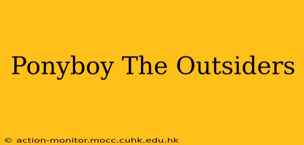 Ponyboy The Outsiders