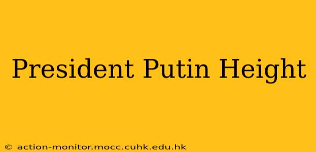 President Putin Height