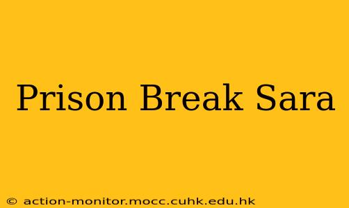 Prison Break Sara