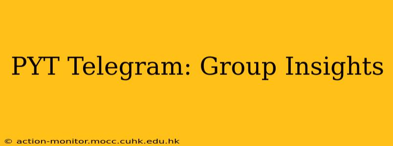 PYT Telegram: Group Insights