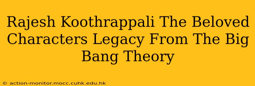 Rajesh Koothrappali The Beloved Characters Legacy From The Big Bang Theory