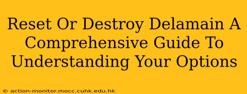 Reset Or Destroy Delamain A Comprehensive Guide To Understanding Your Options