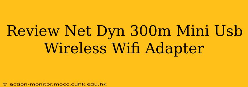 Review Net Dyn 300m Mini Usb Wireless Wifi Adapter