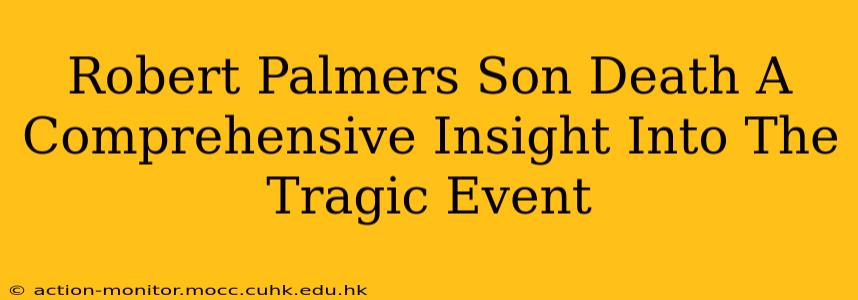 Robert Palmers Son Death A Comprehensive Insight Into The Tragic Event