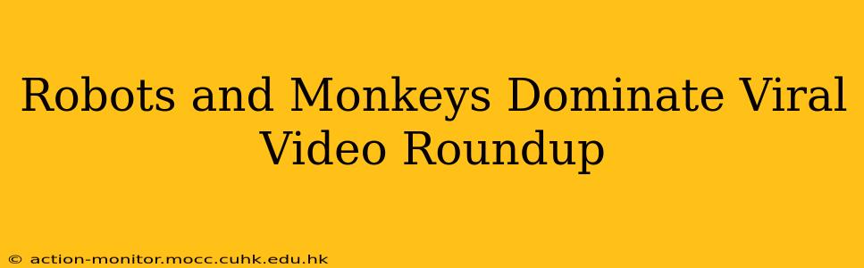 Robots and Monkeys Dominate Viral Video Roundup