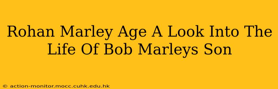 Rohan Marley Age A Look Into The Life Of Bob Marleys Son