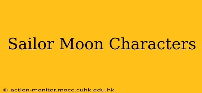 Sailor Moon Characters