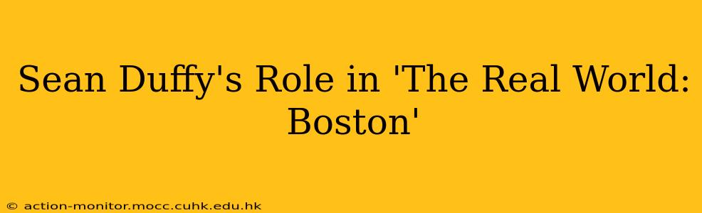 Sean Duffy's Role in 'The Real World: Boston'