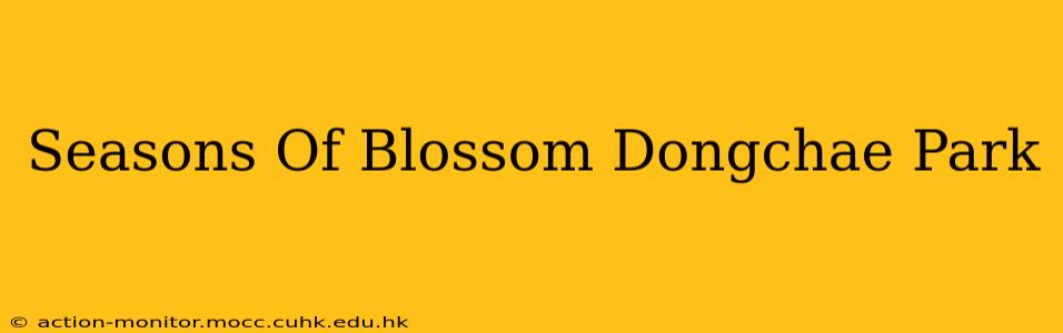 Seasons Of Blossom Dongchae Park