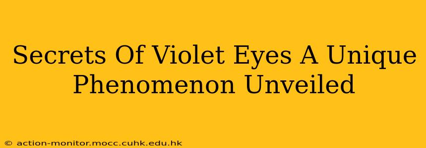 Secrets Of Violet Eyes A Unique Phenomenon Unveiled