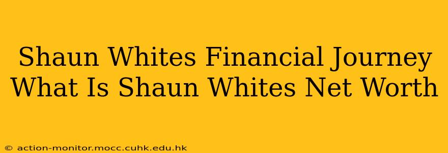 Shaun Whites Financial Journey What Is Shaun Whites Net Worth