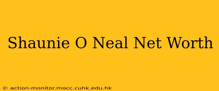 Shaunie O Neal Net Worth