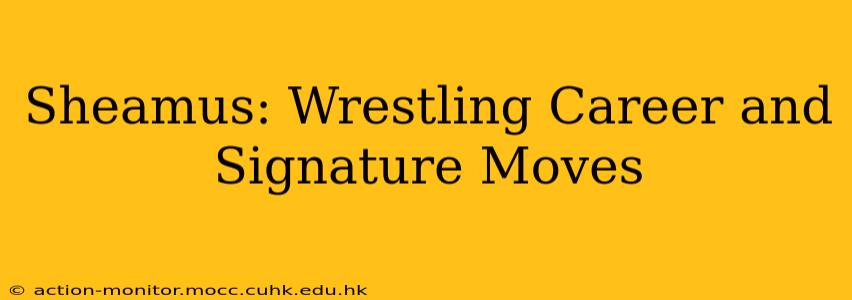 Sheamus: Wrestling Career and Signature Moves