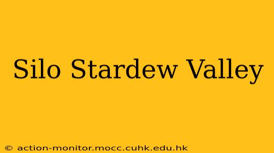 Silo Stardew Valley