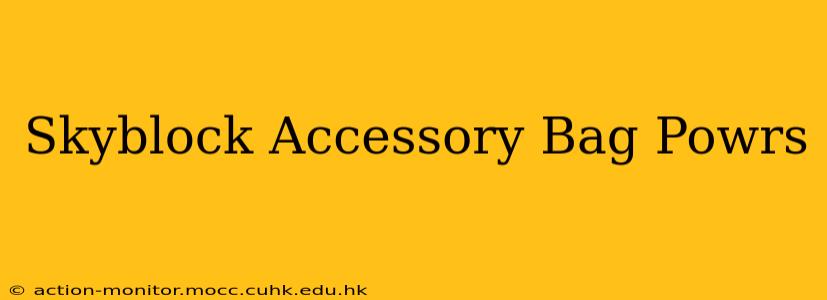 Skyblock Accessory Bag Powrs