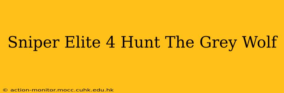 Sniper Elite 4 Hunt The Grey Wolf