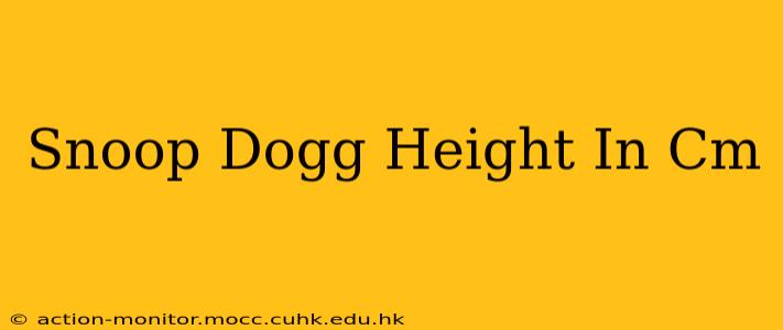 Snoop Dogg Height In Cm