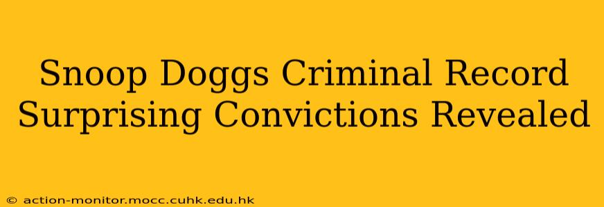 Snoop Doggs Criminal Record Surprising Convictions Revealed