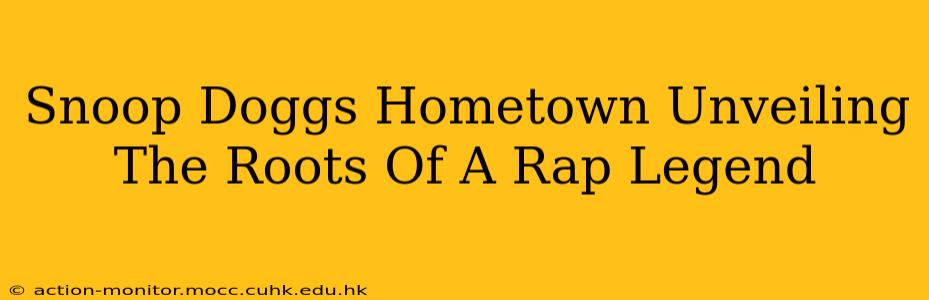 Snoop Doggs Hometown Unveiling The Roots Of A Rap Legend