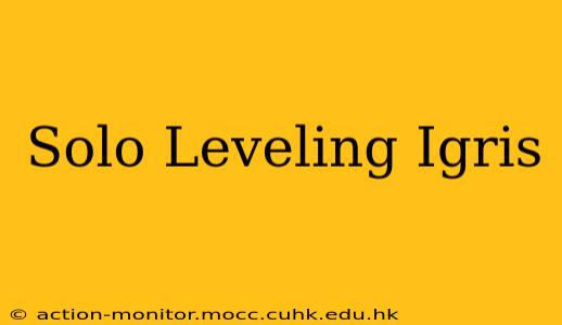 Solo Leveling Igris