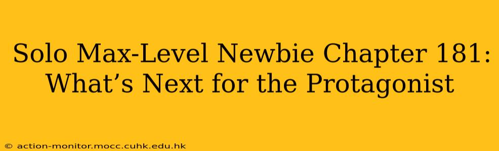 Solo Max-Level Newbie Chapter 181: What’s Next for the Protagonist