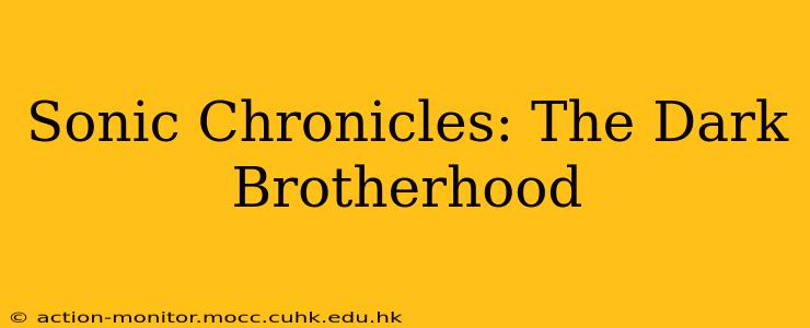 Sonic Chronicles: The Dark Brotherhood