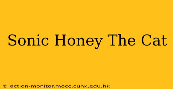Sonic Honey The Cat