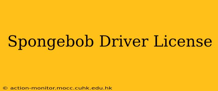 Spongebob Driver License
