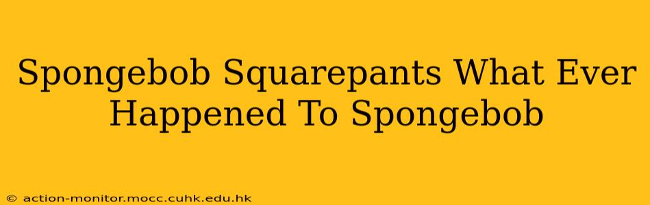 Spongebob Squarepants What Ever Happened To Spongebob