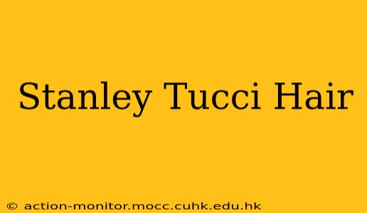Stanley Tucci Hair