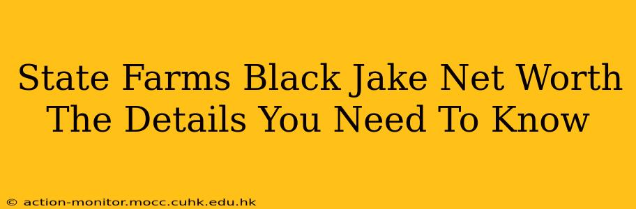 State Farms Black Jake Net Worth The Details You Need To Know