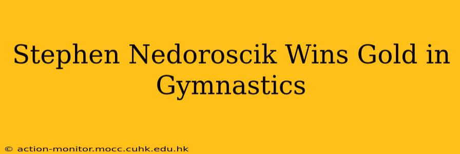 Stephen Nedoroscik Wins Gold in Gymnastics