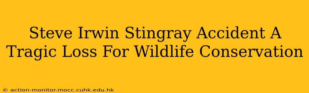 Steve Irwin Stingray Accident A Tragic Loss For Wildlife Conservation