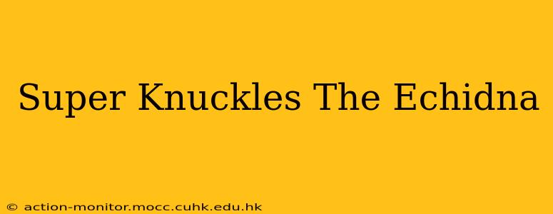 Super Knuckles The Echidna