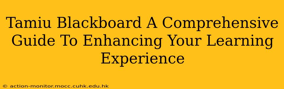 Tamiu Blackboard A Comprehensive Guide To Enhancing Your Learning Experience