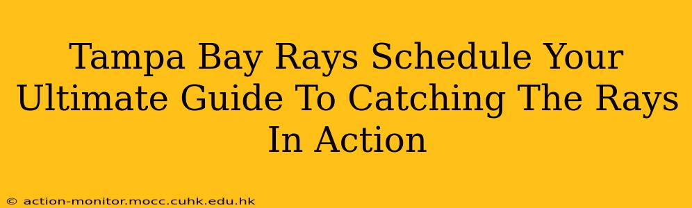 Tampa Bay Rays Schedule Your Ultimate Guide To Catching The Rays In Action