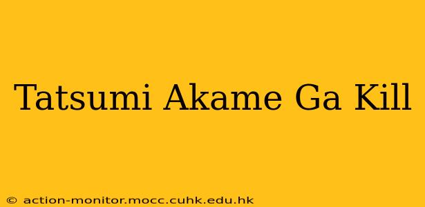 Tatsumi Akame Ga Kill