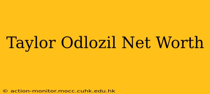 Taylor Odlozil Net Worth