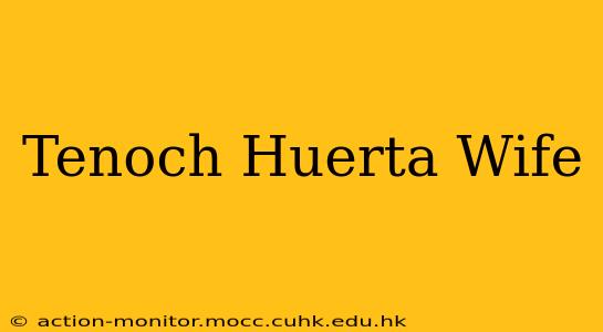 Tenoch Huerta Wife