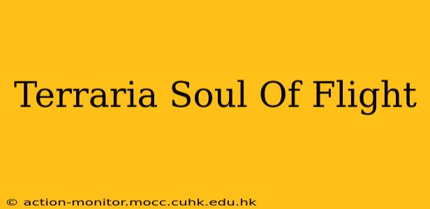 Terraria Soul Of Flight